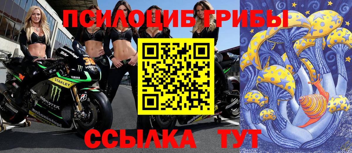 Псилоцибиновые грибы мухоморы Заречный