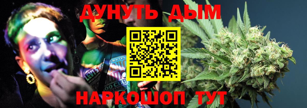 Каннабис планчик  Конопля Bruce Banner  Заречный  Канабис MAZAR  Вход с VPN 